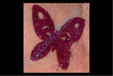 Body Art Kit - Butterfly & Fairy